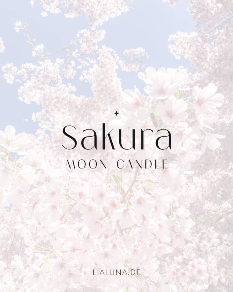Sakura Moon Candle